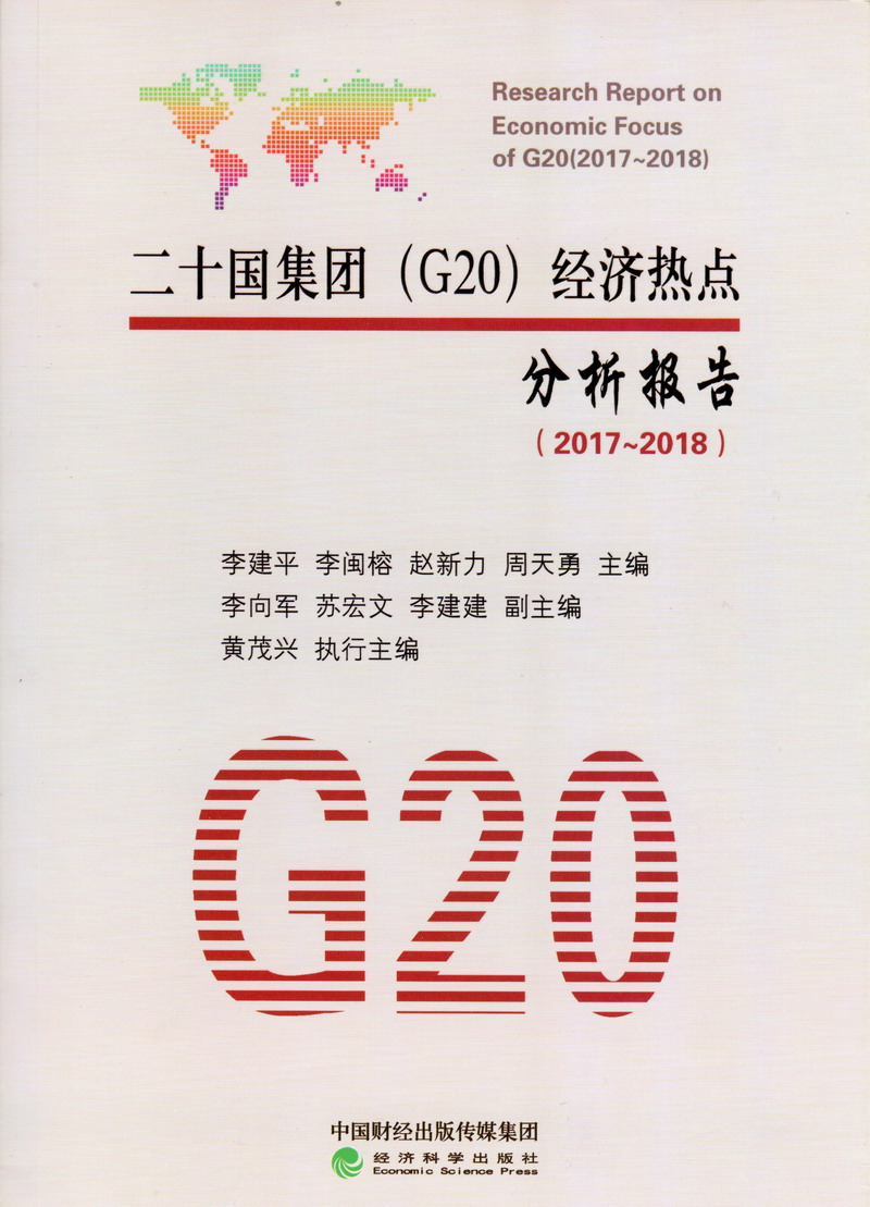 日屌操在线视频二十国集团（G20）经济热点分析报告（2017-2018）