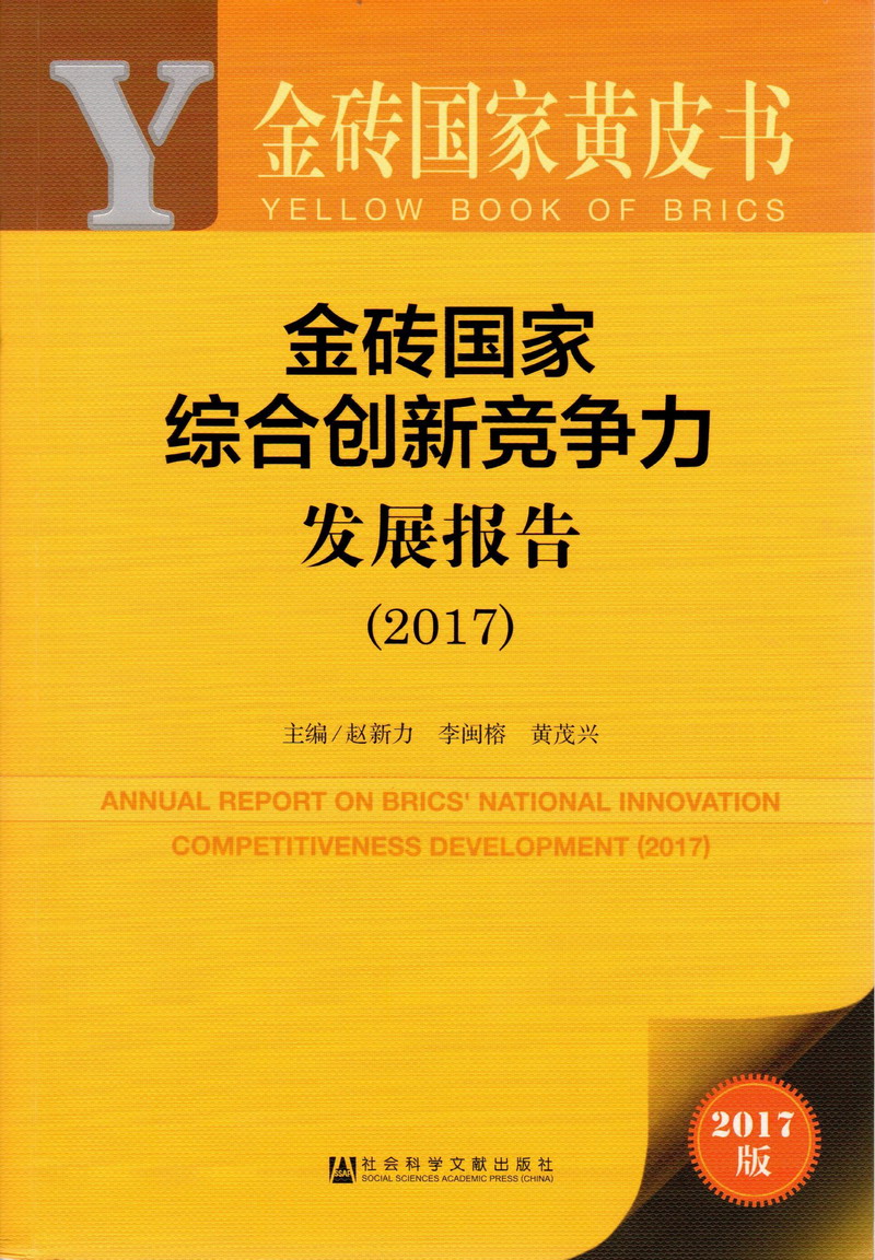 国入老妇女买逼视频金砖国家综合创新竞争力发展报告（2017）